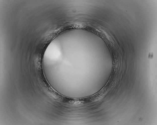 X0000091580553200709101021