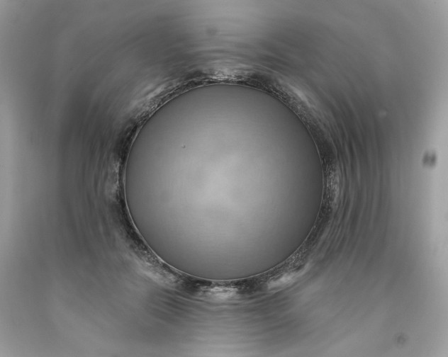 X0000091580554200709101021