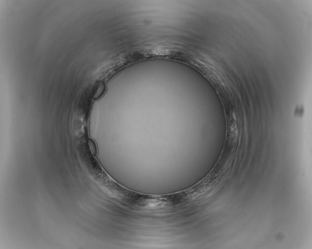 X0000091580555200709101021