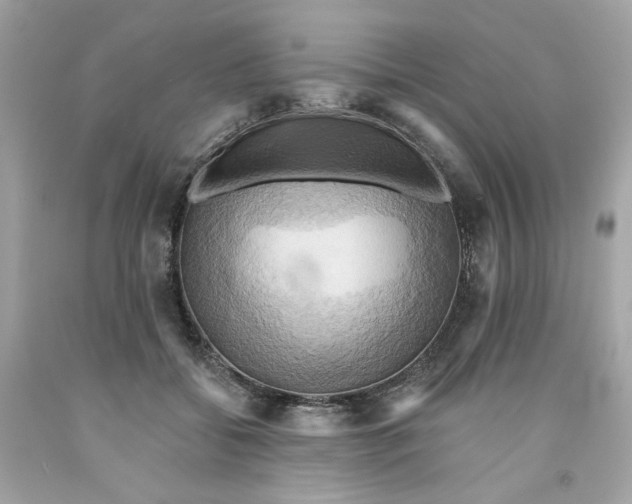 X0000091580556200709101021