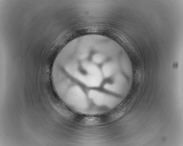 X0000091580557200709101021