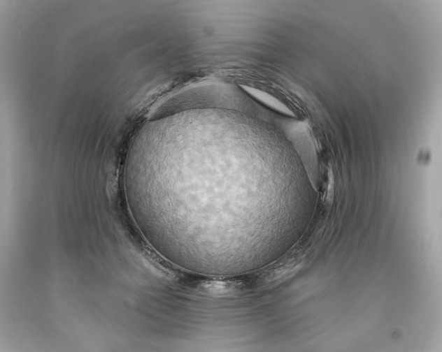 X0000091580558200709101021