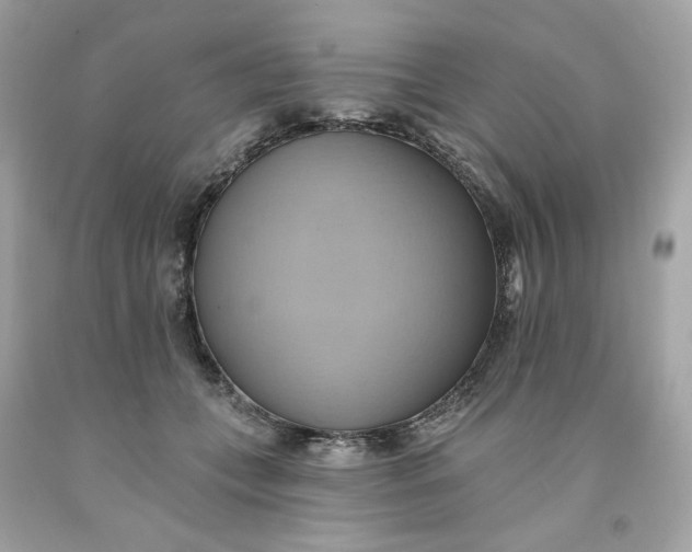 X0000091580559200709101021