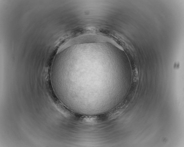 X0000091580560200709101021