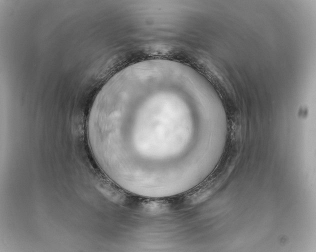 X0000091580561200709101021