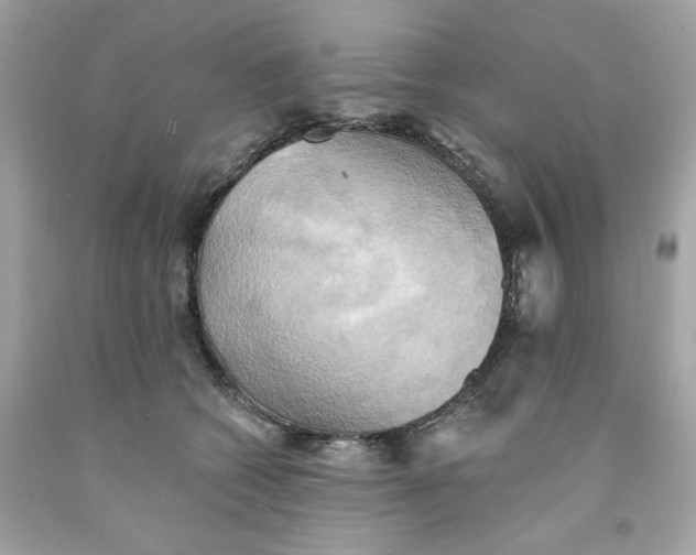 X0000091580562200709101021