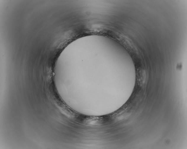 X0000091580563200709101021