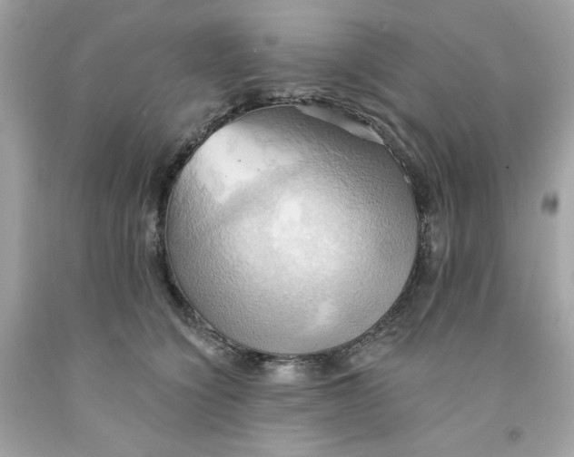 X0000091580564200709101021