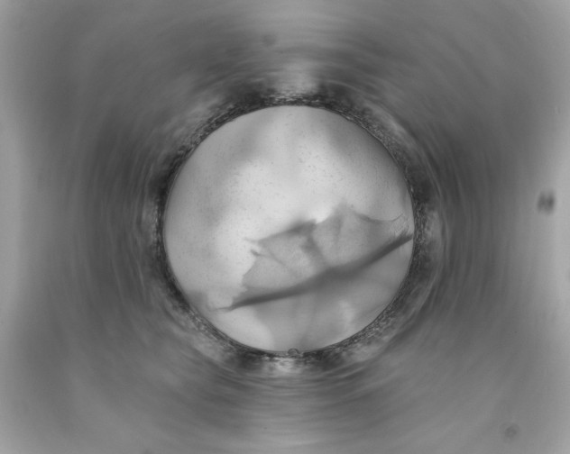 X0000091580565200709101021