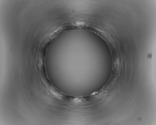 X0000091580566200709101021