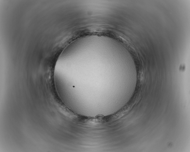 X0000091580567200709101021