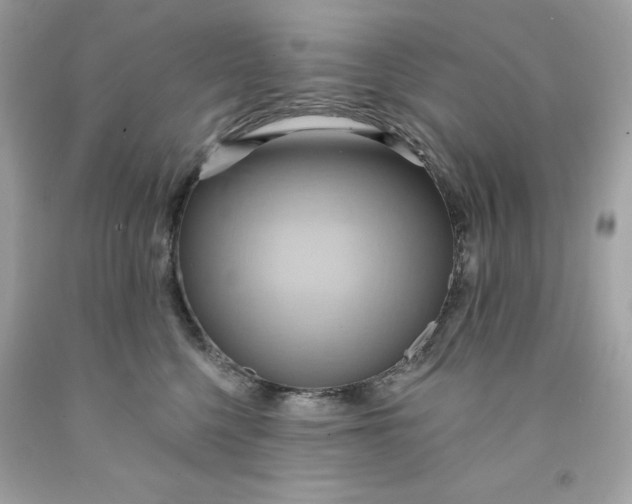 X0000091580568200709101021