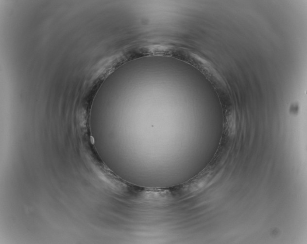 X0000091580571200709101021