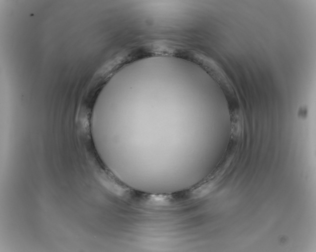 X0000091580573200709101021