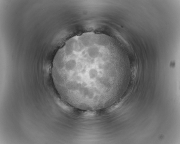 X0000091580574200709101021