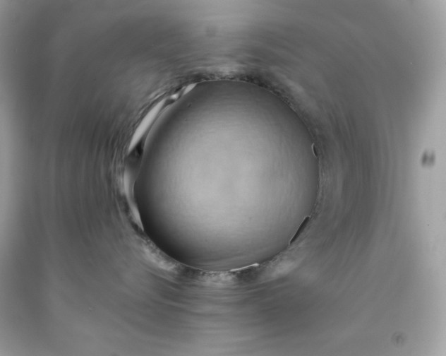 X0000091580576200709101021