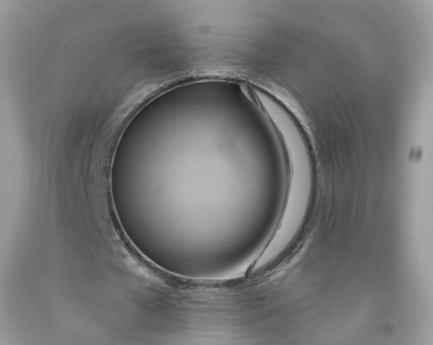 X0000091580577200709101021