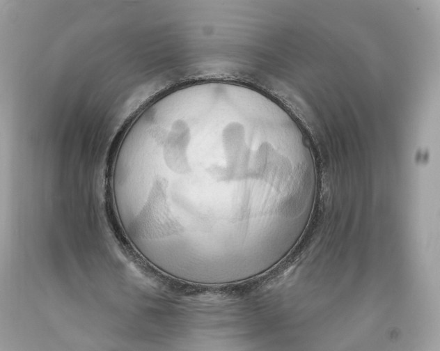 X0000091580578200709101021