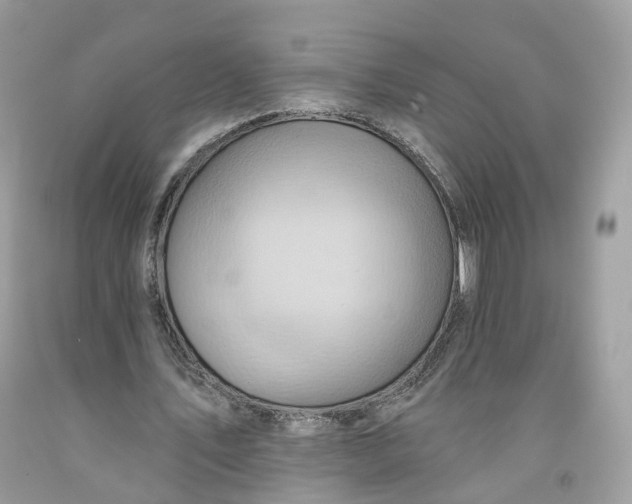 X0000091580579200709101021