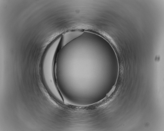 X0000091580581200709101021