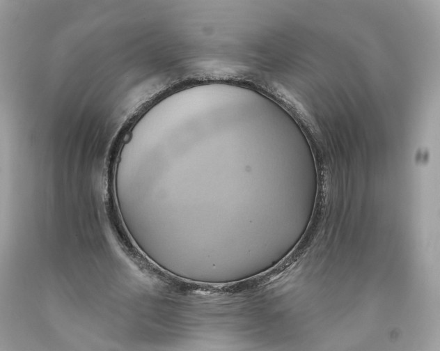 X0000091580582200709101021