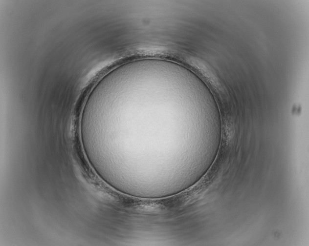 X0000091580583200709101021