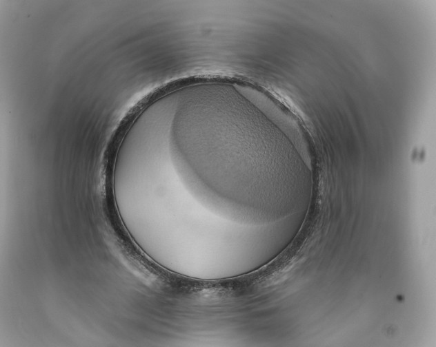 X0000091580584200709101020