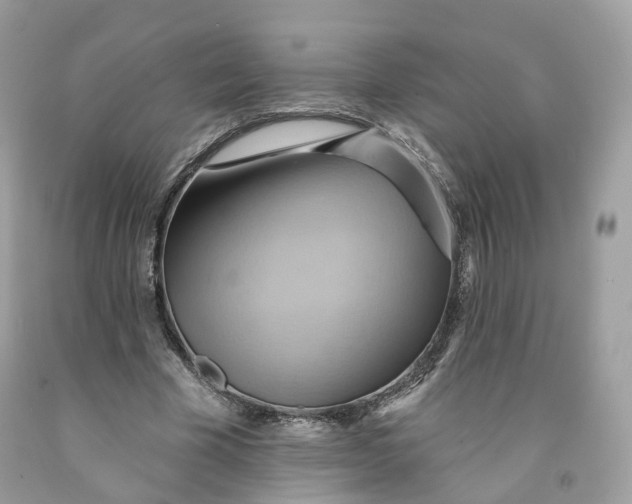 X0000091580585200709101020