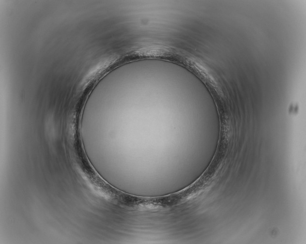 X0000091580586200709101020