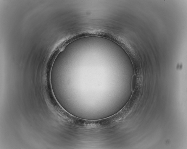 X0000091580587200709101020