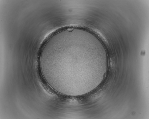 X0000091580588200709101020