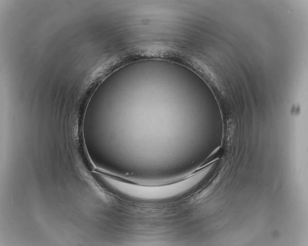 X0000091580589200709101020