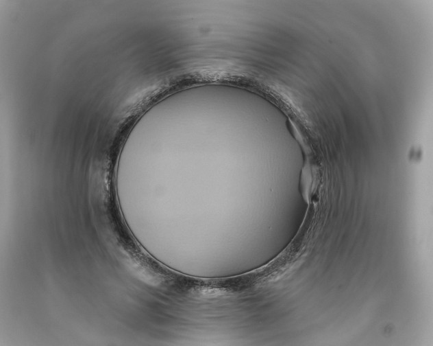 X0000091580590200709101020