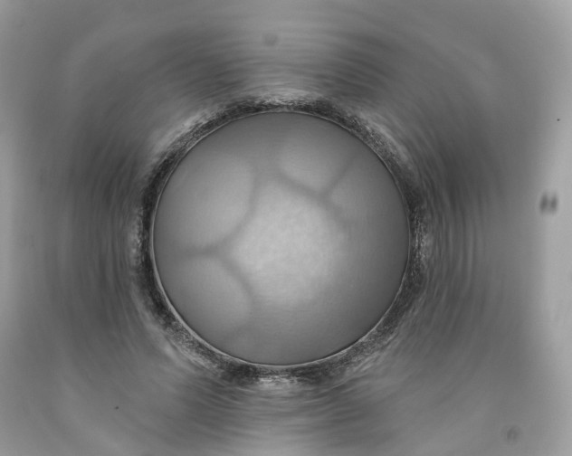 X0000091580591200709101020