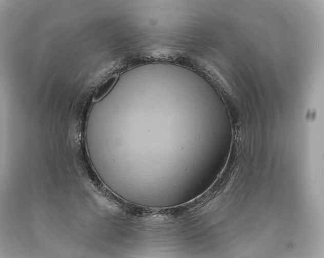 X0000091580593200709101020