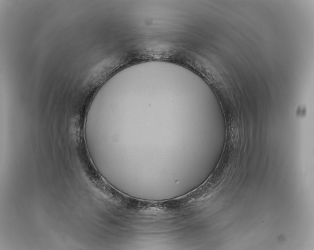 X0000091580594200709101020