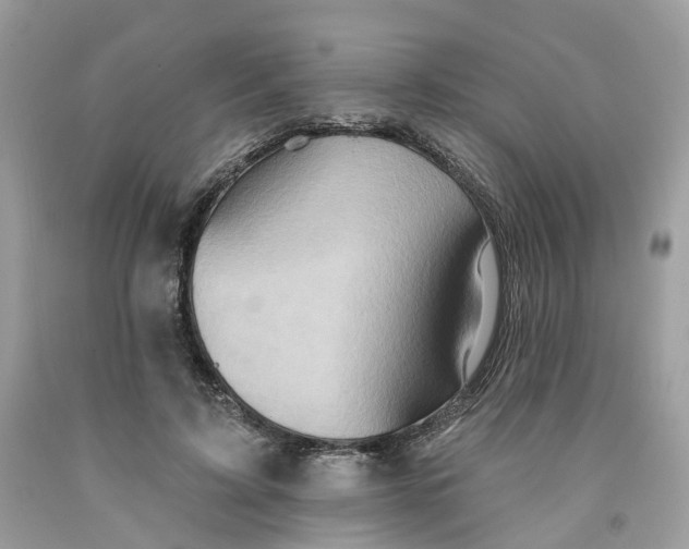 X0000091580595200709101020