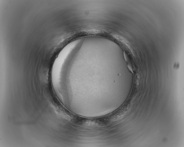 X0000091580596200709101020