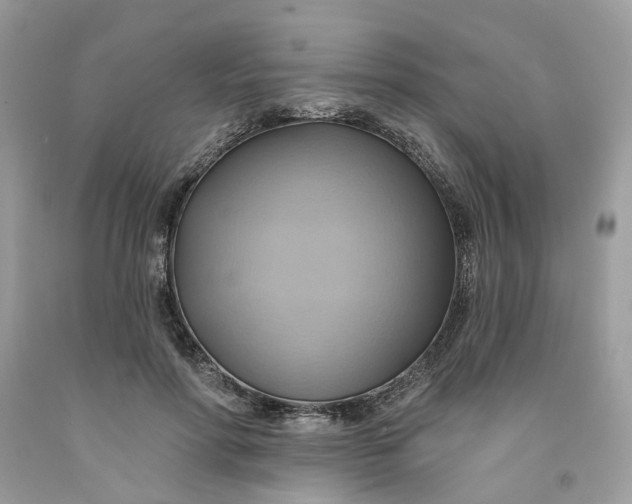 X0000091580598200709101020