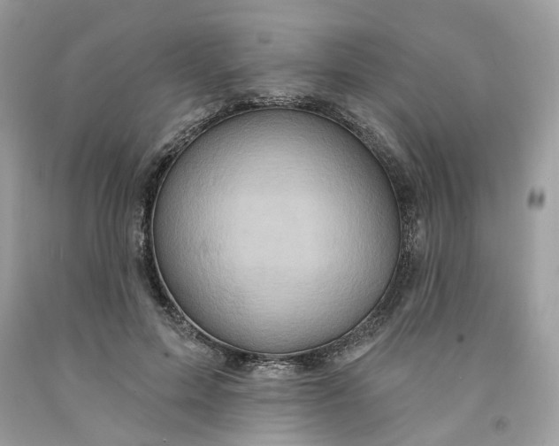 X0000091580599200709101020