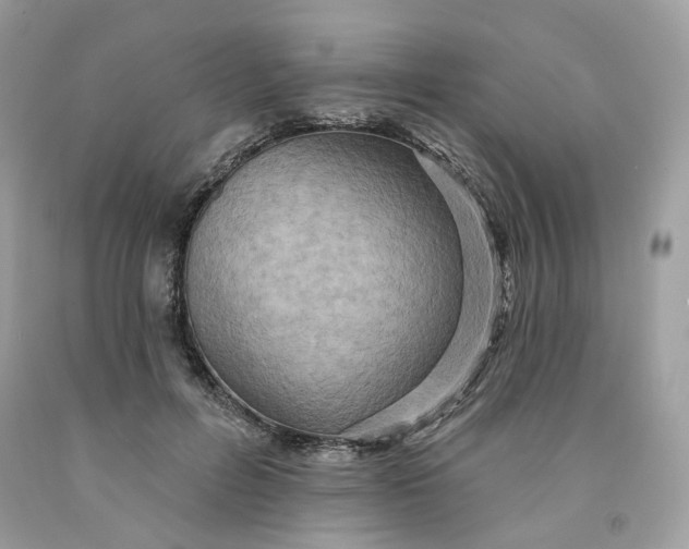 X0000091580600200709101020