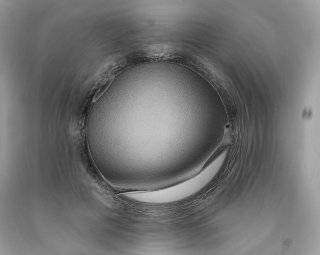 X0000091580601200709101020