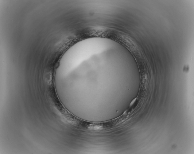 X0000091580602200709101020