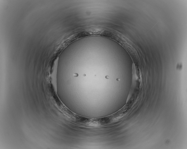 X0000091580604200709101020