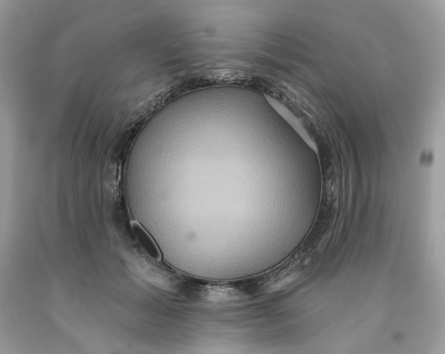 X0000091580605200709101020