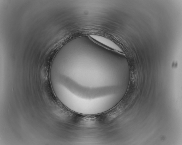 X0000091580606200709101020