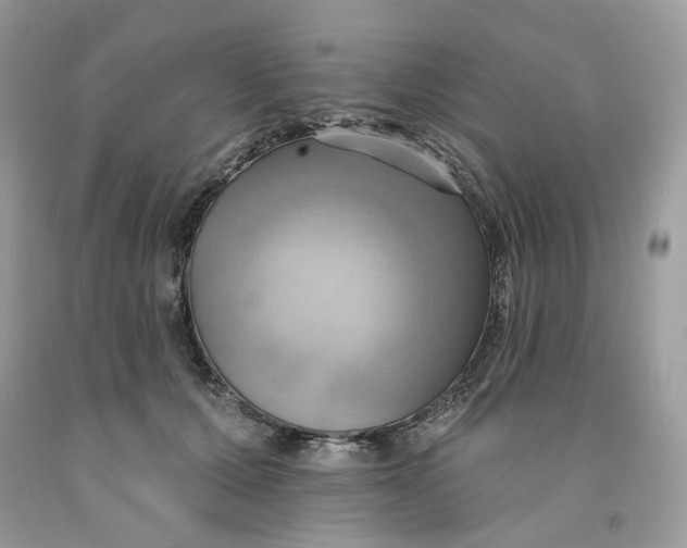 X0000091580607200709101020