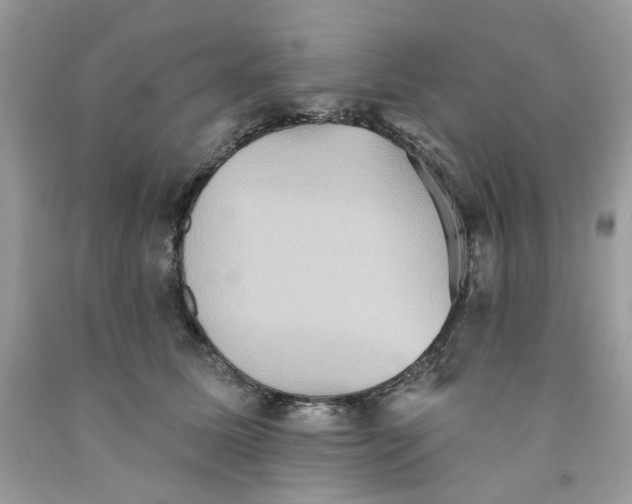 X0000091580611200709101020