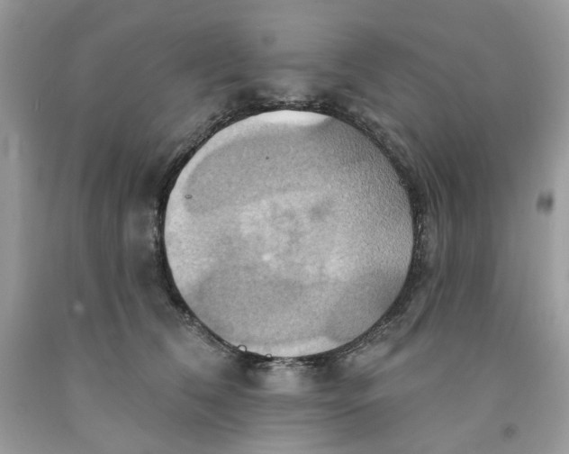 X0000091580612200709101020