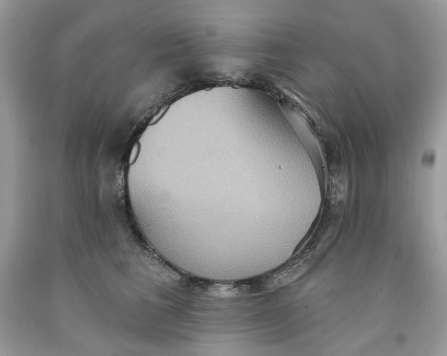 X0000091580613200709101020